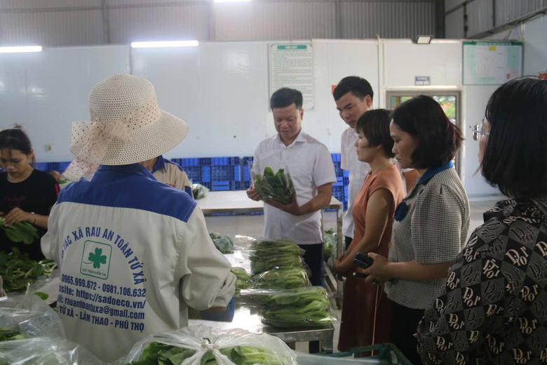 Ph&uacute; Thọ: Tập trung nguồn lực sớm đưa Ph&ugrave;ng Nguy&ecirc;n th&agrave;nh x&atilde; n&ocirc;ng th&ocirc;n mới kiểu mẫu- Ảnh 3.