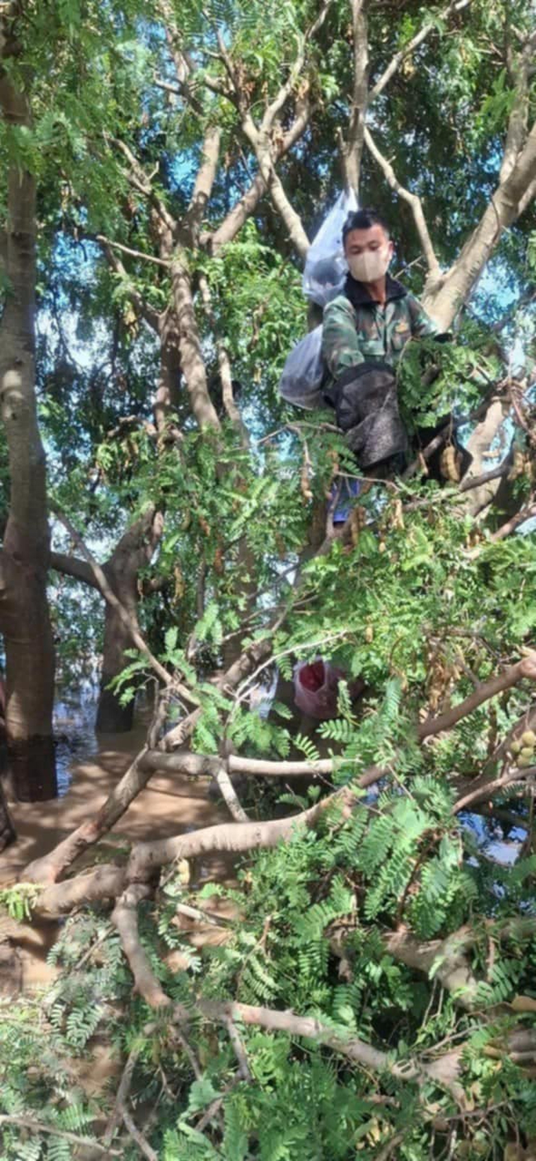 B&atilde;o số 13: Gia Lai thiệt hại hơn 5.000 tỷ đồng, 2 người tử vong- Ảnh 5.