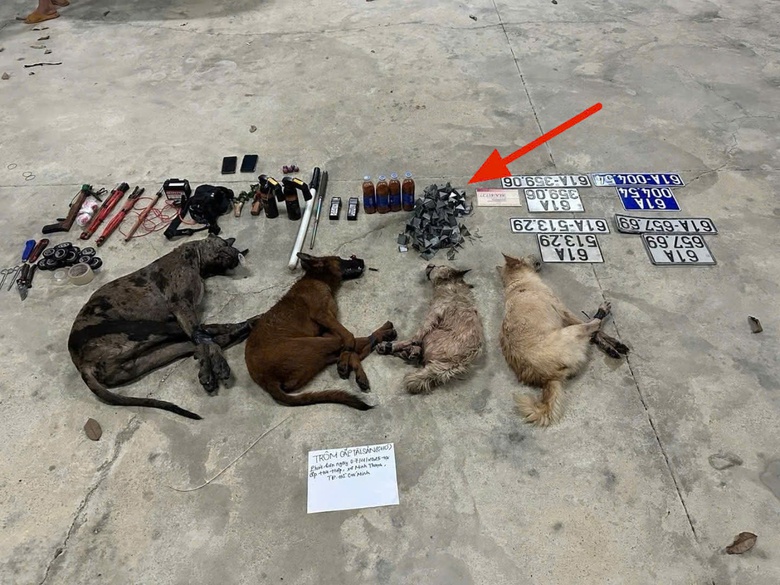 Bị truy đuổi, nh&oacute;m đối tượng trộm ch&oacute; bỏ lại &ocirc; t&ocirc; c&ugrave;ng tang vật b&ecirc;n đường- Ảnh 2.