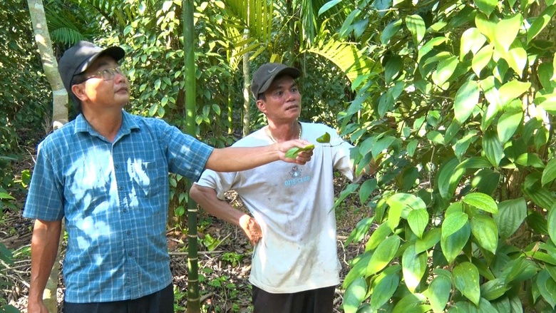 Điểm s&aacute;ng trong phong tr&agrave;o x&acirc;y dựng n&ocirc;ng th&ocirc;n mới tại Đ&agrave; Nẵng- Ảnh 2.