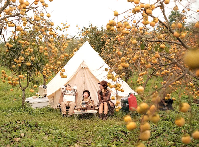 Du kh&aacute;ch "săn" ảnh đẹp ở vườn hồng tr&ecirc;n cao nguy&ecirc;n Mộc Ch&acirc;u- Ảnh 9.