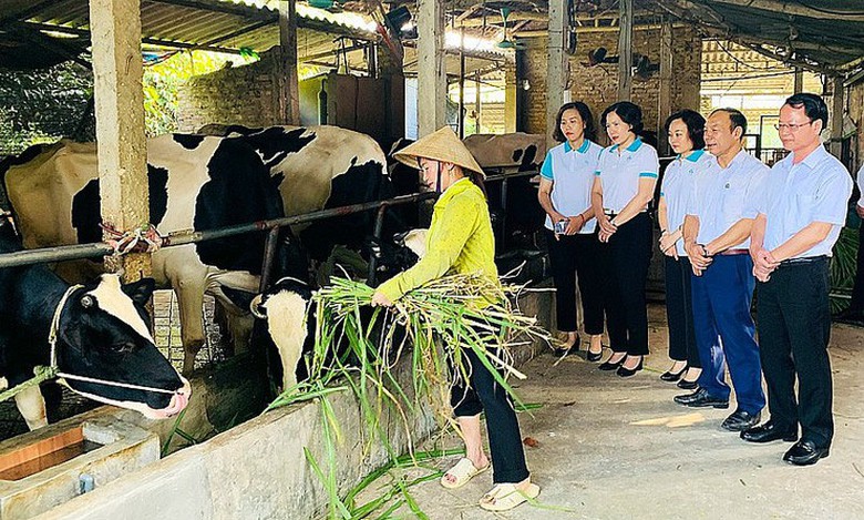 H&agrave; Nội: X&atilde; Suối Hai tăng tốc về đ&iacute;ch n&ocirc;ng th&ocirc;n mới n&acirc;ng cao- Ảnh 1.