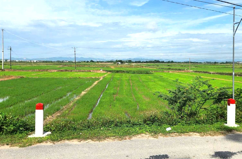 Nghệ An: Sẽ ho&agrave;n th&agrave;nh b&agrave;n giao đất t&aacute;i định cư dự &aacute;n đường sắt tốc độ cao th&aacute;ng 6/2026- Ảnh 4.