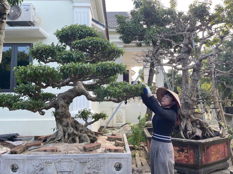 Hưng Y&ecirc;n th&uacute;c đẩy kinh tế n&ocirc;ng th&ocirc;n từ &ldquo;mỏ v&agrave;ng xanh&rdquo;- Ảnh 1.