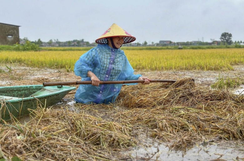 Biển đổi kh&iacute; hậu v&agrave; giải ph&aacute;p "xanh h&oacute;a" đ&ocirc; thị?- Ảnh 2.