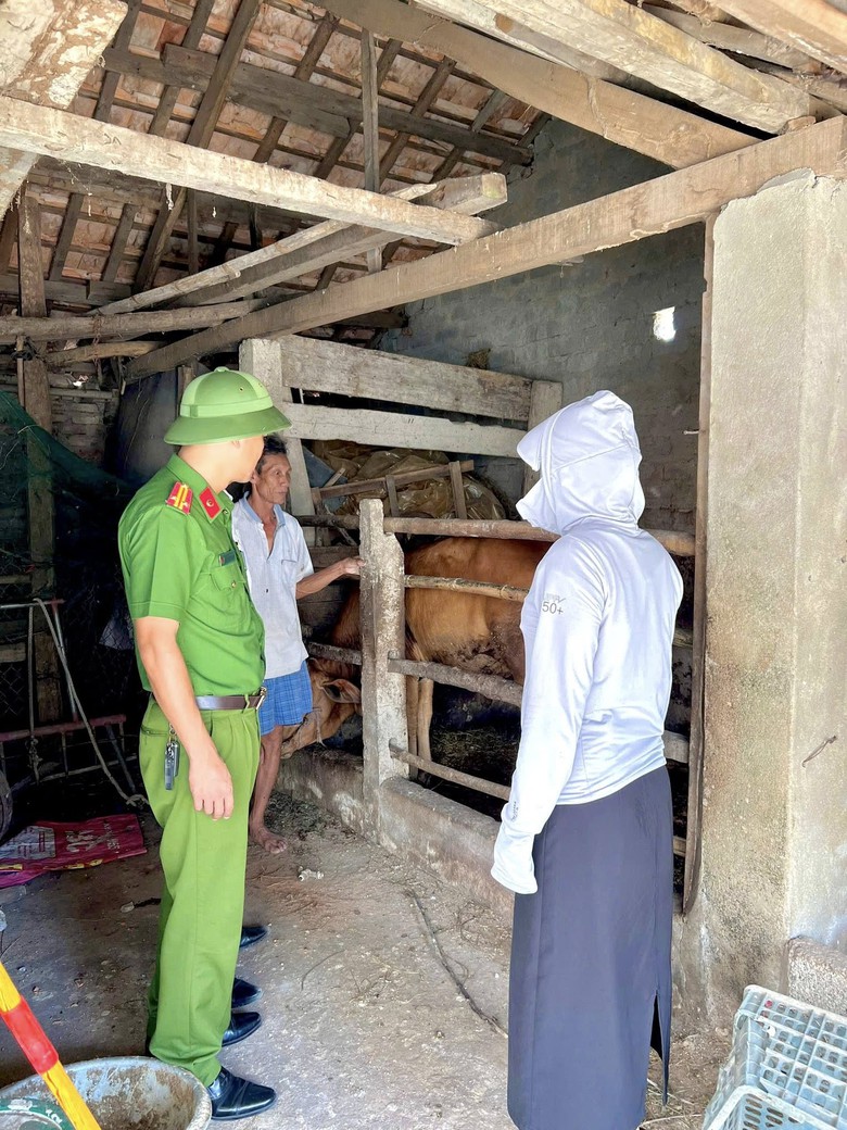 H&agrave; Tĩnh: Giảm s&acirc;u t&igrave;nh trạng tr&acirc;u b&ograve; thả r&ocirc;ng tr&ecirc;n đường- Ảnh 2.