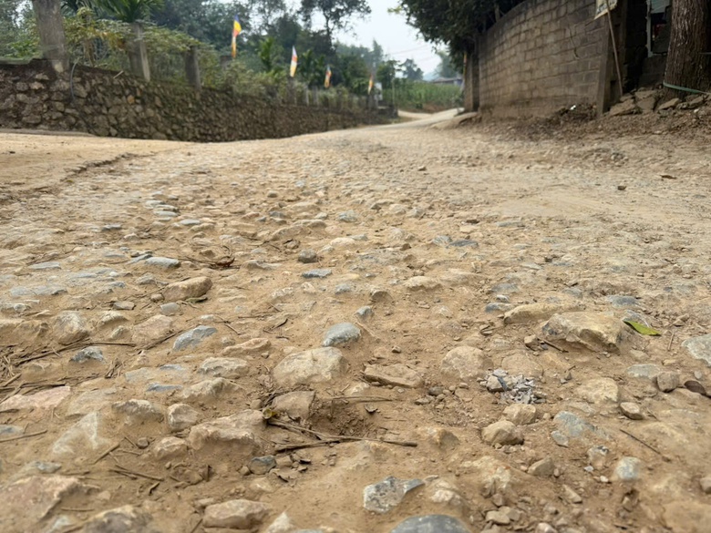 Người d&acirc;n Ph&uacute; Thọ khốn khổ v&igrave; xe tải trọng lớn lao nhanh tr&ecirc;n đường- Ảnh 5.