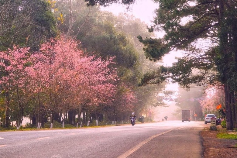 Nhiều lễ hội đặc sắc diễn ra trong tuần văn hóa du lịch Măng Đen 2026- Ảnh 1. Nhiều lễ hội đặc sắc diễn ra trong tuần văn hóa du lịch Măng Đen 2026- Ảnh 1.