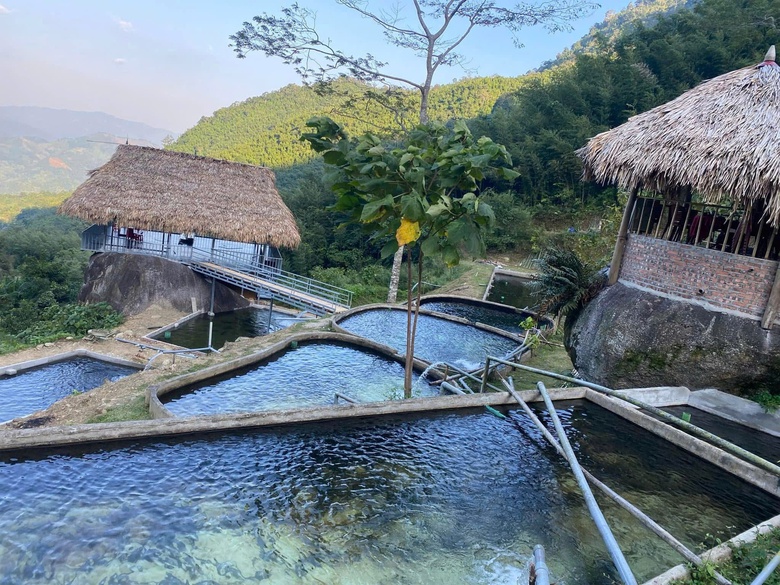 Thượng Minh kh&uacute;c giao h&ograve;a của rừng tr&uacute;c, văn h&oacute;a Dao v&agrave; du lịch sinh th&aacute;i- Ảnh 5.