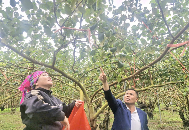 Bắc Ninh: Người d&acirc;n v&ugrave;ng cao hiến "tấc v&agrave;ng" mở lối ti&ecirc;u thụ n&ocirc;ng sản- Ảnh 4.