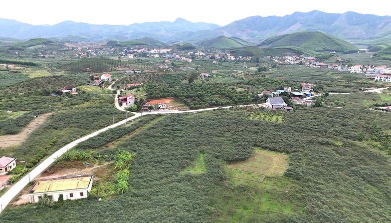 Bắc Ninh: Người d&acirc;n v&ugrave;ng cao hiến "tấc v&agrave;ng" mở lối ti&ecirc;u thụ n&ocirc;ng sản- Ảnh 2.