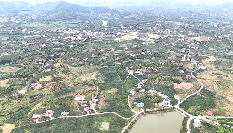 Bắc Ninh: Người d&acirc;n v&ugrave;ng cao hiến "tấc v&agrave;ng" mở lối ti&ecirc;u thụ n&ocirc;ng sản- Ảnh 5.