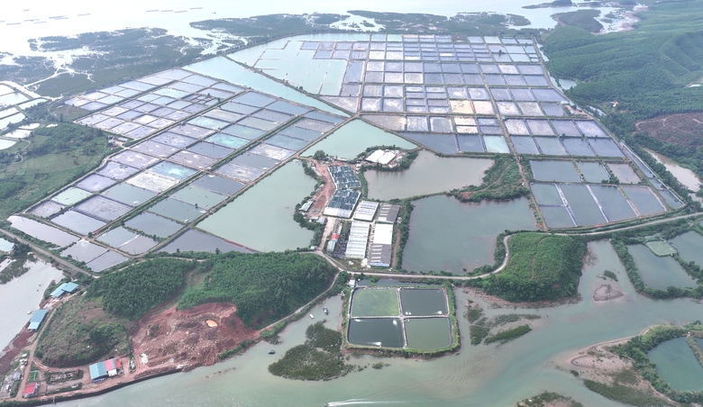 BIM Group khởi c&ocirc;ng 3 dự &aacute;n trọng điểm, g&oacute;p phần th&uacute;c đẩy ph&aacute;t triển Quảng Ninh- Ảnh 5.