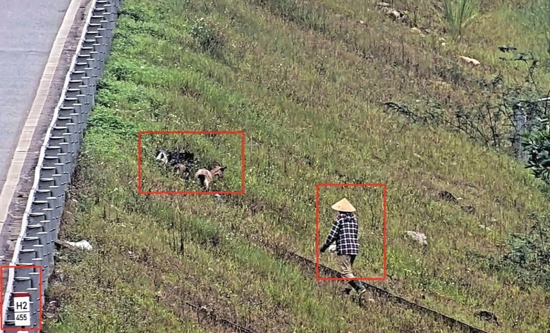 Quyết liệt xử l&yacute; t&igrave;nh trạng ph&aacute; r&agrave;o, x&acirc;m phạm h&agrave;nh lang cao tốc Diễn Ch&acirc;u - B&atilde;i Vọt- Ảnh 2.