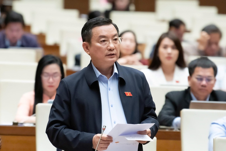 ĐBQH: Tuổi thọ trung b&igrave;nh của nam giới thấp dẫn đến phụ nữ c&ocirc; đơn tuổi xế chiều- Ảnh 2.