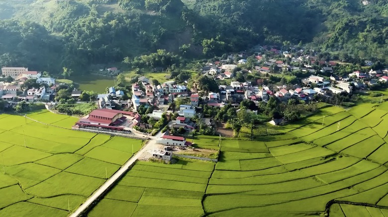 Phụ nữ T&agrave;y dẫn nhịp du lịch cộng đồng v&ugrave;ng đệm Ba Bể- Ảnh 1.