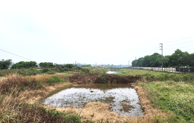 Ph&uacute; Thọ: Quyết liệt GPMB dự &aacute;n cải tạo, mở rộng QL2 đoạn Vĩnh Y&ecirc;n - Việt Tr&igrave;- Ảnh 3.