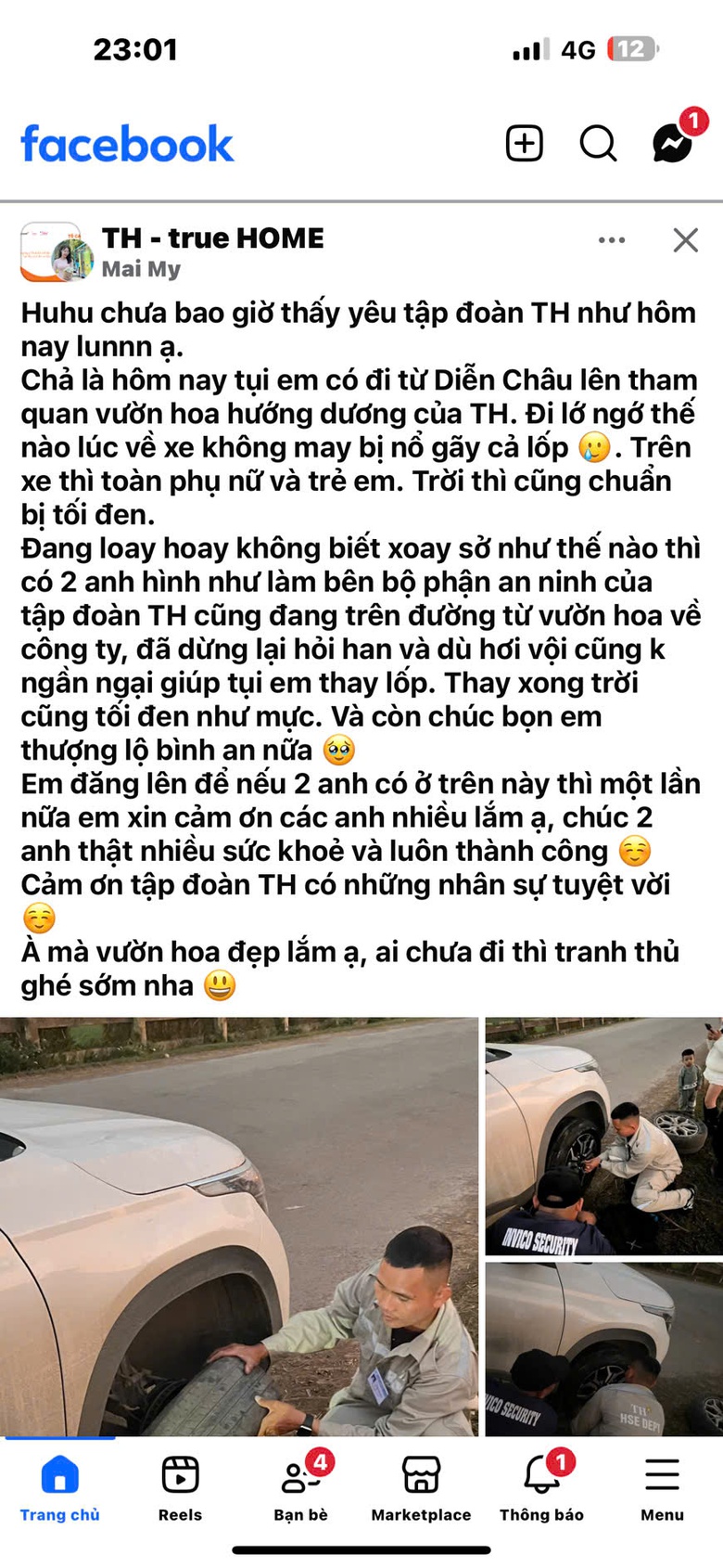 C&aacute;nh đồng hướng dương TH tạm đ&oacute;ng cửa ng&agrave;y 3-4/1/2026- Ảnh 5.