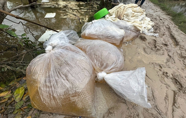 Cục Xăng dầu n&oacute;i g&igrave; về sự cố tr&agrave;n dầu ở KKT Dung Quất?- Ảnh 11.