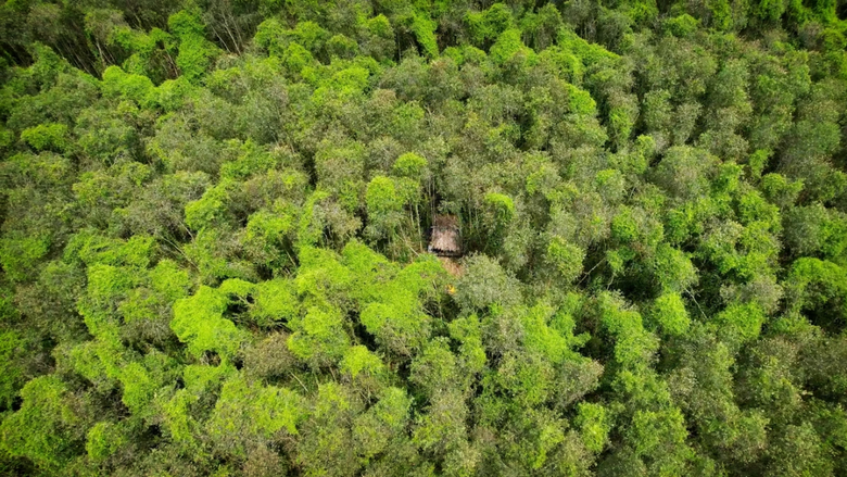 C&agrave; Mau: Gần 1.460 tỷ đồng ph&aacute;t triển du lịch sinh th&aacute;i U Minh Hạ- Ảnh 1.