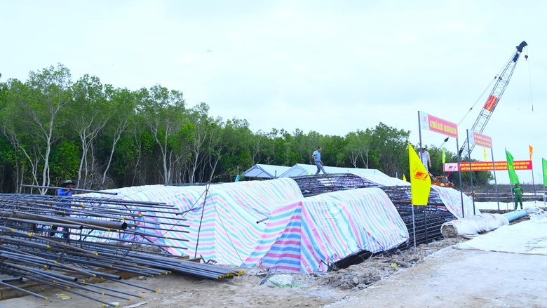 Nhộn nhịp thi c&ocirc;ng cao tốc C&agrave; Mau - Đất Mũi, đường ra đảo H&ograve;n Khoai- Ảnh 7.