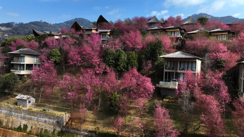 M&ugrave; Cang Chải sẵn s&agrave;ng cho Festival Kh&egrave;n M&ocirc;ng v&agrave; Lễ hội hoa Tớ D&agrave;y 2026- Ảnh 6.