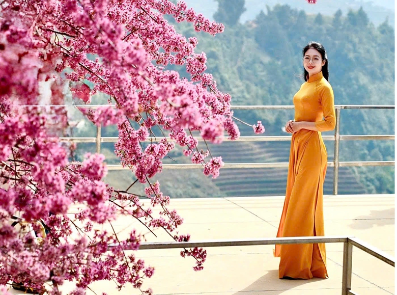 M&ugrave; Cang Chải sẵn s&agrave;ng cho Festival Kh&egrave;n M&ocirc;ng v&agrave; Lễ hội hoa Tớ D&agrave;y 2026- Ảnh 3.