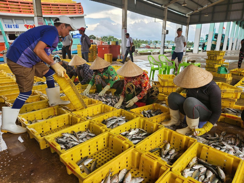 An Giang quyết liệt xử lý tàu cá khai thác thủy sản bất hợp pháp- Ảnh 2. An Giang quyết liệt xử lý tàu cá khai thác thủy sản bất hợp pháp- Ảnh 2.