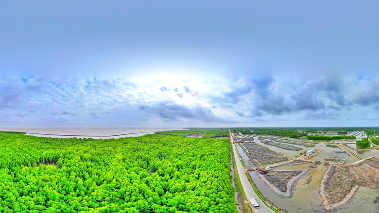 Hối hả thi c&ocirc;ng cao tốc C&agrave; Mau - Đất Mũi xuy&ecirc;n Tết- Ảnh 1.