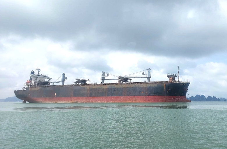 Cả nước c&oacute; hơn 120 bến phao, 28 khu neo đậu chuyển tải đang khai th&aacute;c- Ảnh 1.