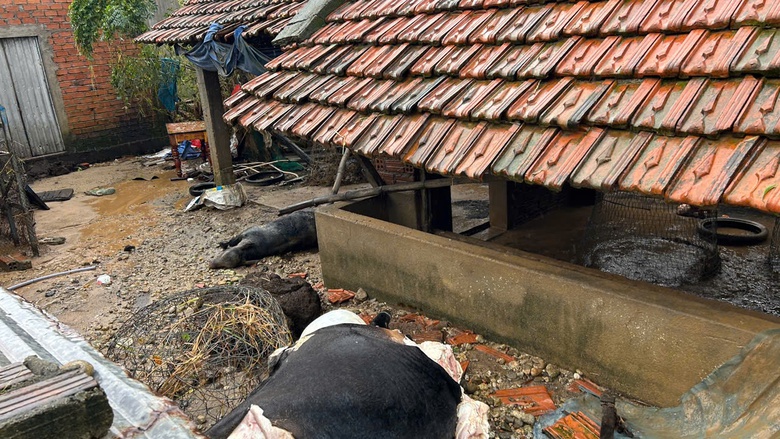 Bài 1: Phục hồi và phát triển nông nghiệp bền vững- Ảnh 6. Bài 1: Phục hồi và phát triển nông nghiệp bền vững- Ảnh 6.