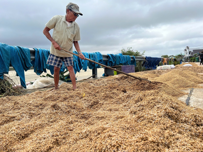 B&agrave;i 3: Bảo hiểm n&ocirc;ng nghiệp bị bỏ rơi?- Ảnh 2.