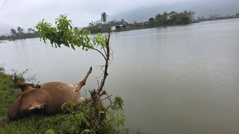 Bài 1: Phục hồi và phát triển nông nghiệp bền vững- Ảnh 7. Bài 1: Phục hồi và phát triển nông nghiệp bền vững- Ảnh 7.