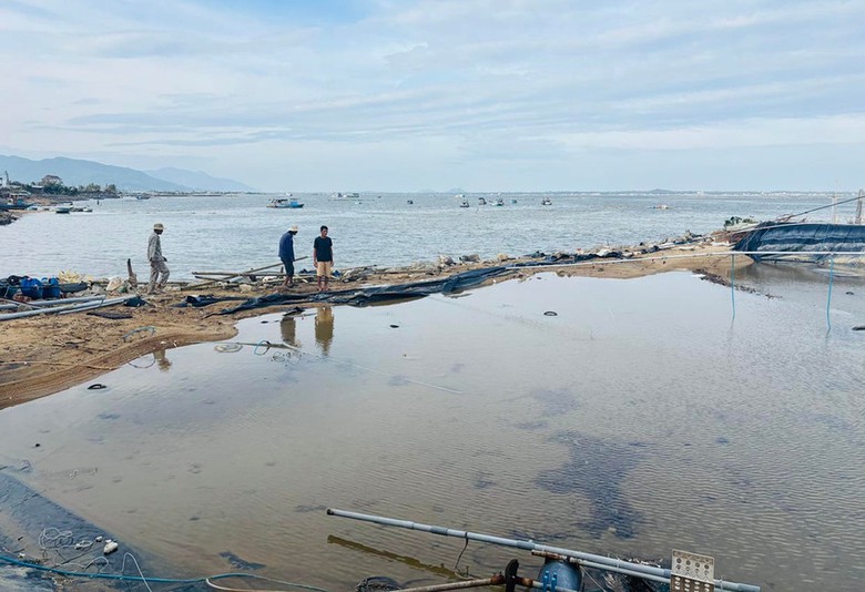 Bài 1: Phục hồi và phát triển nông nghiệp bền vững- Ảnh 1. Bài 1: Phục hồi và phát triển nông nghiệp bền vững- Ảnh 1.