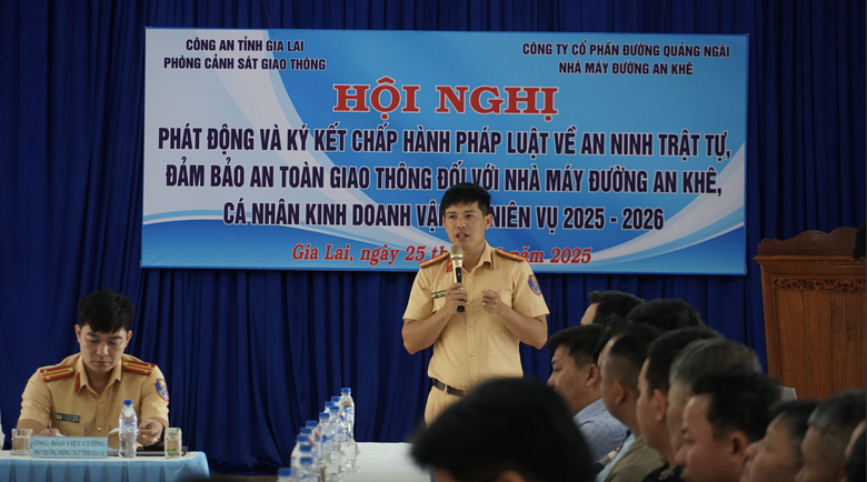 Gia Lai: Phạt nặng xe tải tự &yacute; cải tạo th&agrave;nh, th&ugrave;ng chở m&iacute;a g&acirc;y mất an to&agrave;n giao th&ocirc;ng- Ảnh 2.