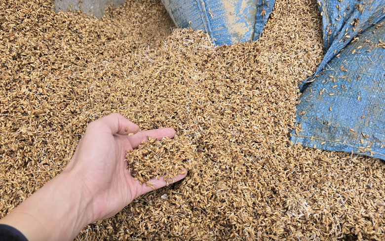 B&agrave;i 3: Bảo hiểm n&ocirc;ng nghiệp bị bỏ rơi?- Ảnh 3.