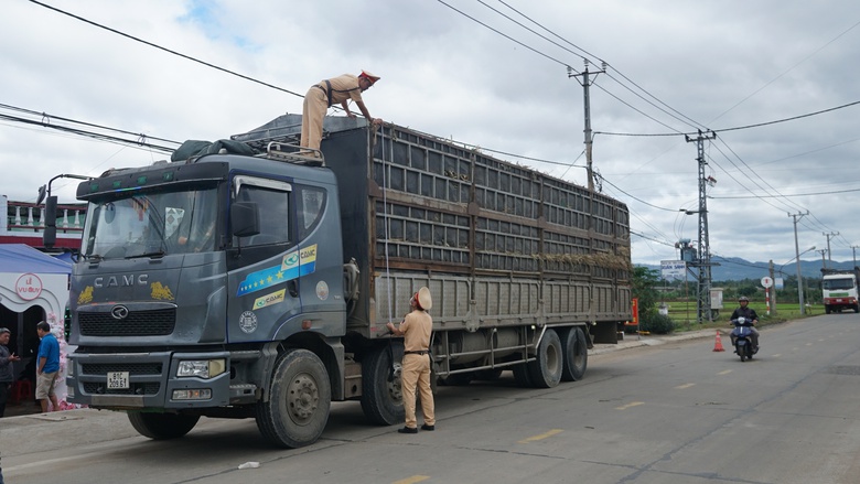 Gia Lai: Phạt nặng xe tải tự &yacute; cải tạo th&agrave;nh, th&ugrave;ng chở m&iacute;a g&acirc;y mất an to&agrave;n giao th&ocirc;ng- Ảnh 1.