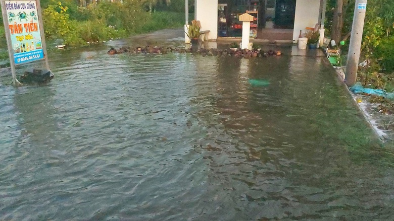 Triều cường d&acirc;ng cao, tuyến quốc lộ 1 qua C&agrave; Mau ngập s&acirc;u- Ảnh 5.