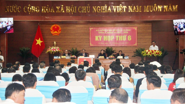 C&agrave; Mau đẩy mạnh x&acirc;y dựng hạ tầng, t&iacute;ch cực giải quyết kiến nghị của cử tri- Ảnh 2.