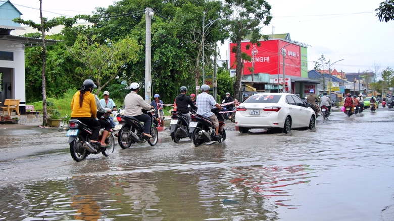 C&agrave; Mau đẩy mạnh x&acirc;y dựng hạ tầng, t&iacute;ch cực giải quyết kiến nghị của cử tri- Ảnh 5.