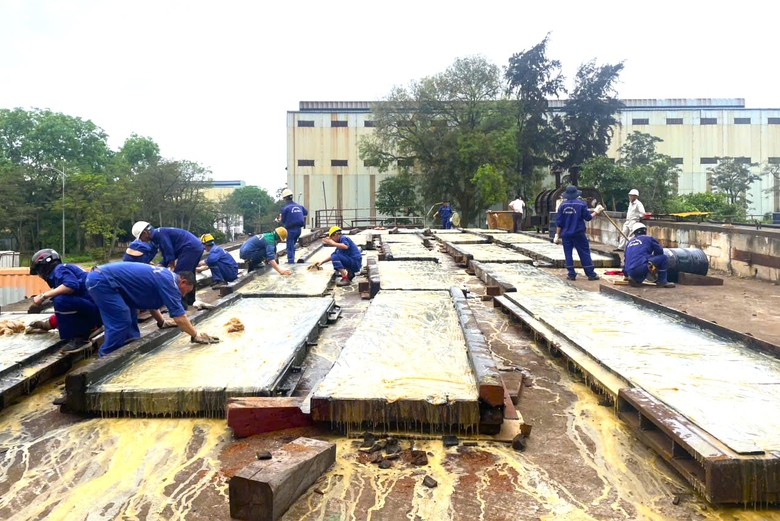 z7224632827663_9e24436d46a9fcd94ffff363913d0699