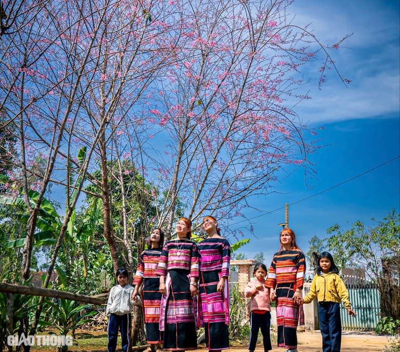 Hoa đ&agrave;o bung nở "kho&aacute;c &aacute;o mới" đẹp như tranh tại huyện miền n&uacute;i B&igrave;nh Định- Ảnh 1.