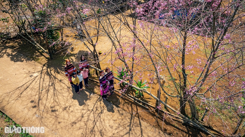 Hoa đ&agrave;o bung nở "kho&aacute;c &aacute;o mới" đẹp như tranh tại huyện miền n&uacute;i B&igrave;nh Định- Ảnh 2.