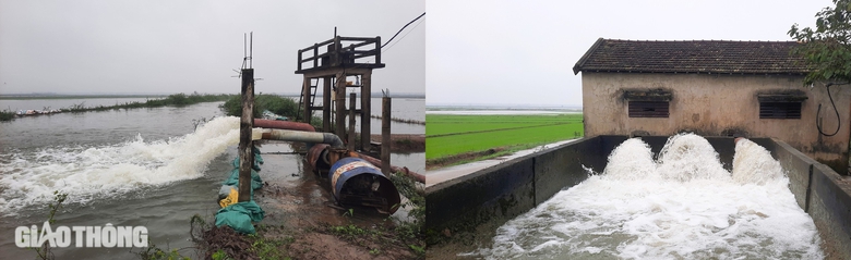 Quảng Trị: Hàng nghìn ha lúa ngập úng nặng vì mưa bất thường sau Tết- Ảnh 2. Quảng Trị: Hàng nghìn ha lúa ngập úng nặng vì mưa bất thường sau Tết- Ảnh 2.
