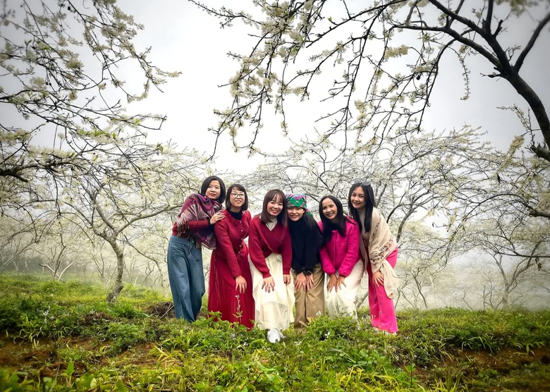 Hoa mận nở trắng n&uacute;i rừng T&acirc;y Bắc- Ảnh 15.