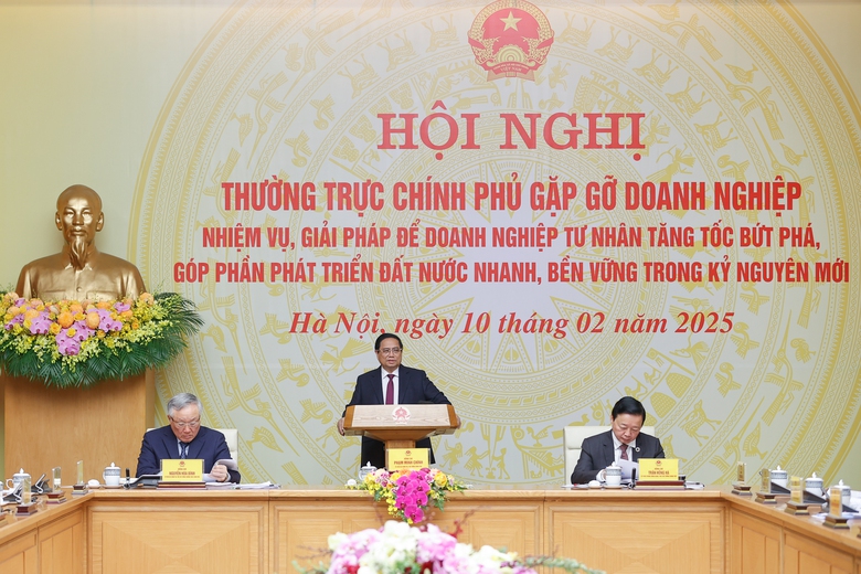 Thủ tướng: Giao doanh nghiệp tham gia dự &aacute;n lớn với cam kết cụ thể- Ảnh 1.