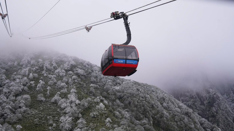 R&eacute;t đậm r&eacute;t hại, du kh&aacute;ch đổ l&ecirc;n Fansipan săn băng tuyết- Ảnh 1.