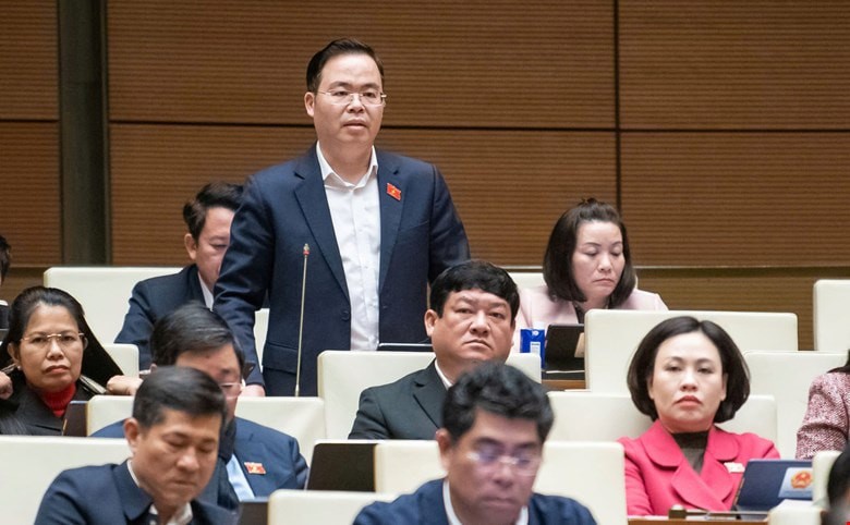 Đại biểu đề nghị c&acirc;n nhắc việc xem x&eacute;t, th&ocirc;ng qua luật trong một kỳ họp- Ảnh 4.
