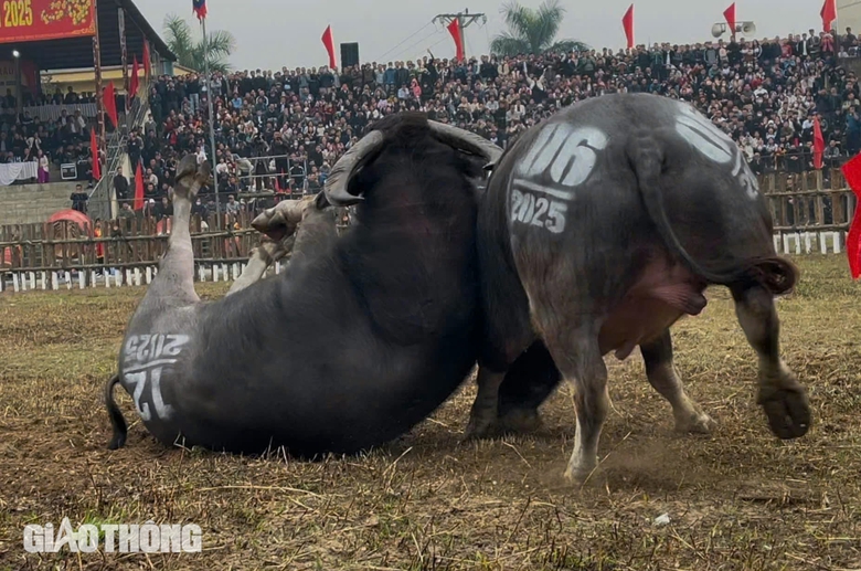 Hàng vạn người chứng kiến trận đấu nảy lửa của các "ông Cầu" tại Vĩnh Phúc- Ảnh 9. Hàng vạn người chứng kiến trận đấu nảy lửa của các "ông Cầu" tại Vĩnh Phúc- Ảnh 9.