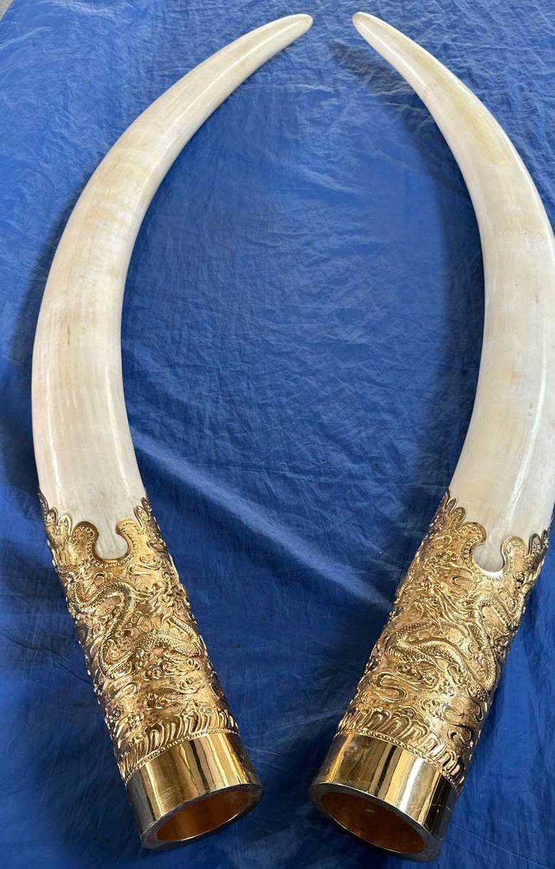 3 người bị bắt vì vận chuyển, buôn bán ngà voi tại Cao Bằng- Ảnh 2. 3 người bị bắt vì vận chuyển, buôn bán ngà voi tại Cao Bằng- Ảnh 2.